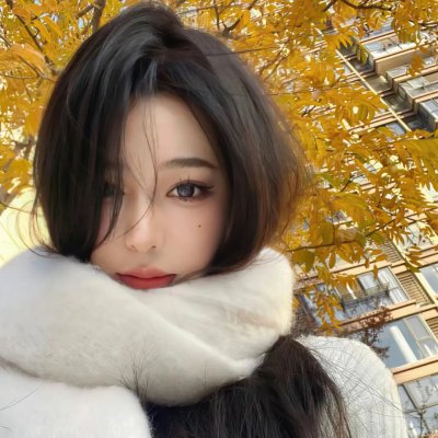 女神探宝盖丁
