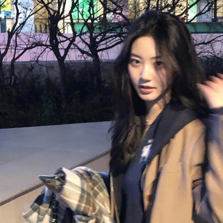 鳏夫跨美旅